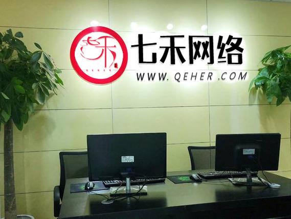 上海胡文斌网络与信息安全软件开发公司的发展与展望