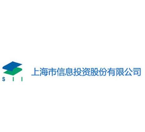 上海信联信息发展股份与上海网络与信息产业的协同发展分析
