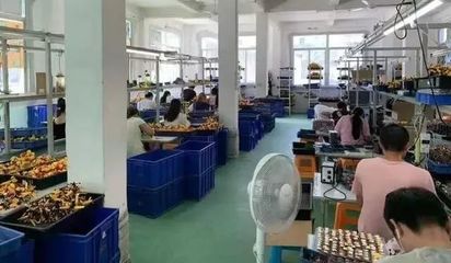 逾2亿元侵权玩具案背后的治理警示 上海查获“小黄人”等百余款产品的法律与产业思考